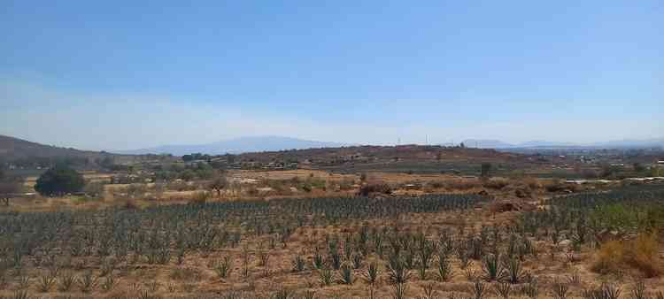 terreno en venta san nicolas colinas de tonala tonala jalisco pUIWYPT